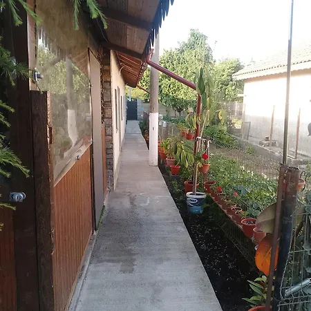 Irina House *
