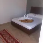 Pensiune Irina House Mangalia