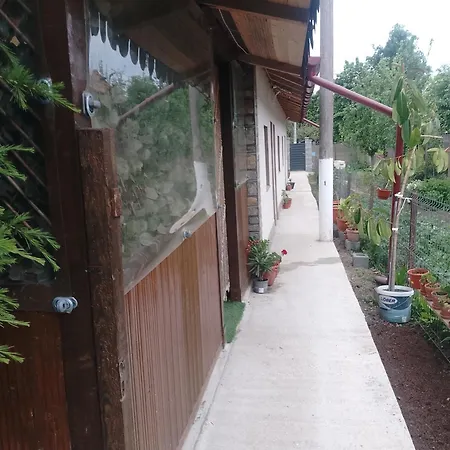 Irina House Pensjonat *