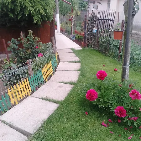 Irina House Pensjonat Mangalia