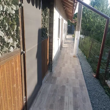 Irina House